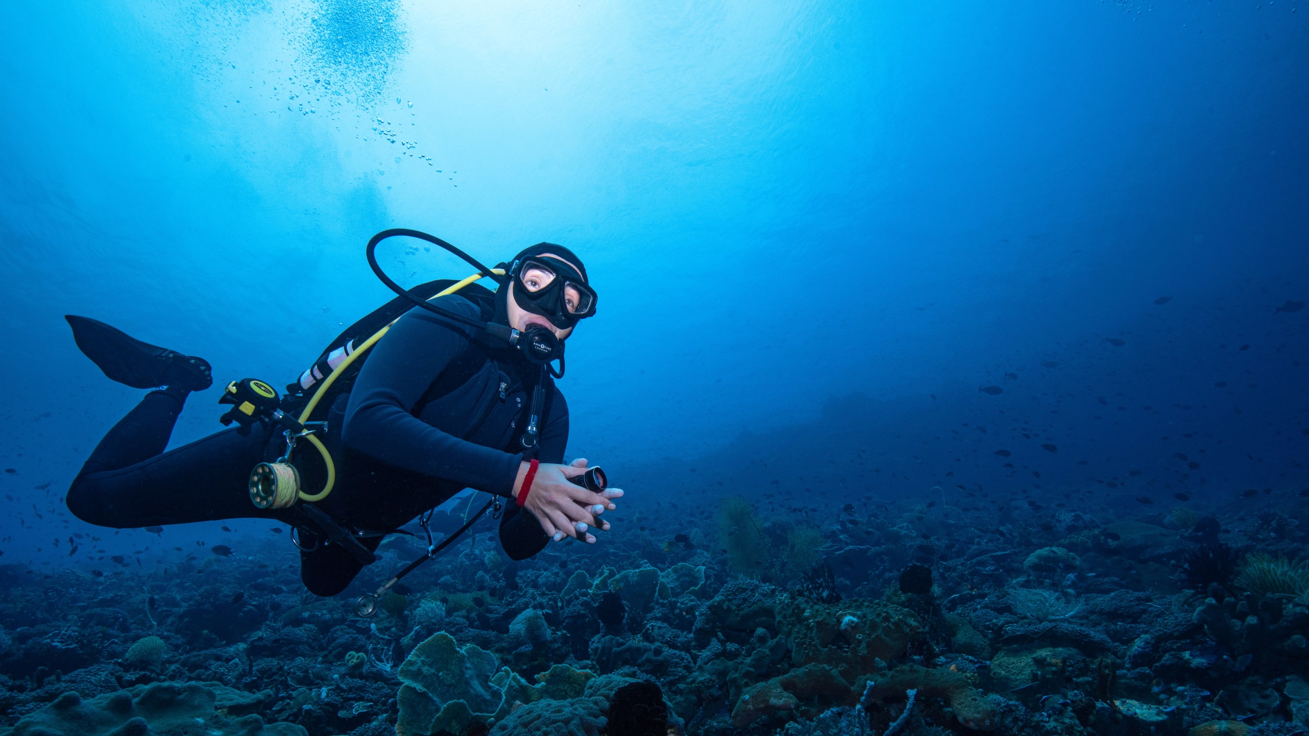 Open Water Diver Course